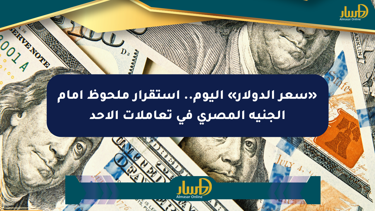 «سعر الدولار» اليوم.. استقرار ملحوظ أمام الجنيه المصري في تعاملات الأحد